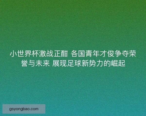 小世界杯激战正酣 各国青年才俊争夺荣誉与未来 展现足球新势力的崛起